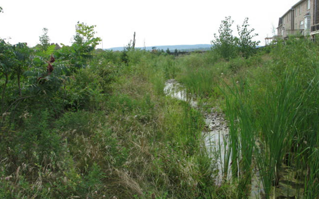 West Sheldon Creek Realignment